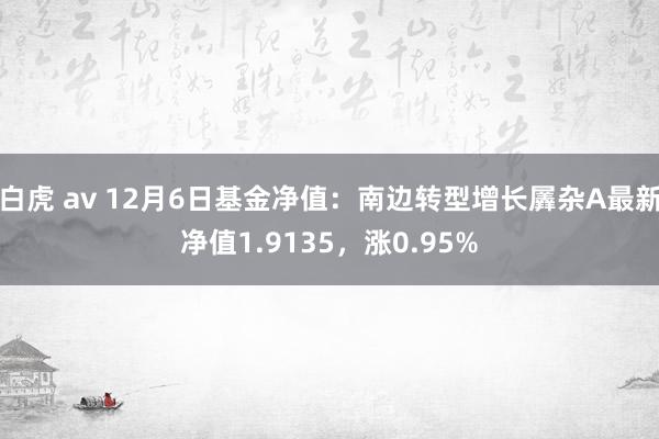 白虎 av 12月6日基金净值：南边转型增长羼杂A最新净值1.9135，涨0.95%