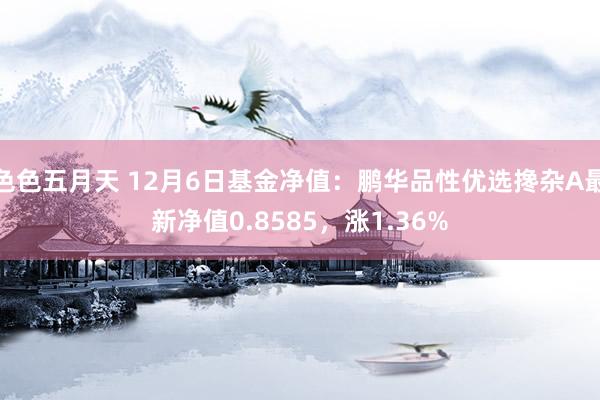 色色五月天 12月6日基金净值：鹏华品性优选搀杂A最新净值0.8585，涨1.36%