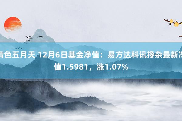 情色五月天 12月6日基金净值：易方达科讯搀杂最新净值1.5981，涨1.07%