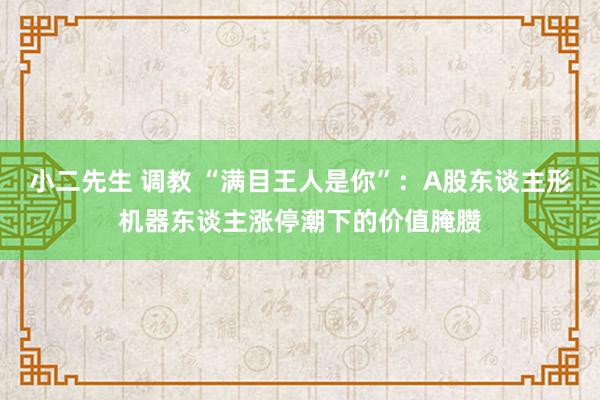 小二先生 调教 “满目王人是你”：A股东谈主形机器东谈主涨停潮下的价值腌臜