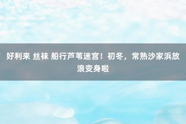 好利来 丝袜 船行芦苇迷宫！初冬，常熟沙家浜放浪变身啦