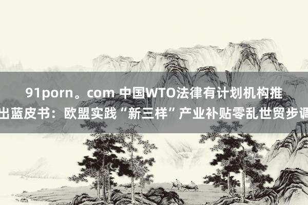 91porn。com 中国WTO法律有计划机构推出蓝皮书：欧盟实践“新三样”产业补贴零乱世贸步调