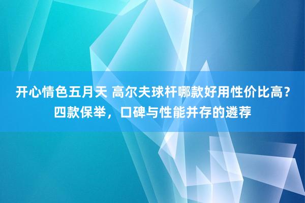 开心情色五月天 高尔夫球杆哪款好用性价比高？四款保举，口碑与性能并存的遴荐