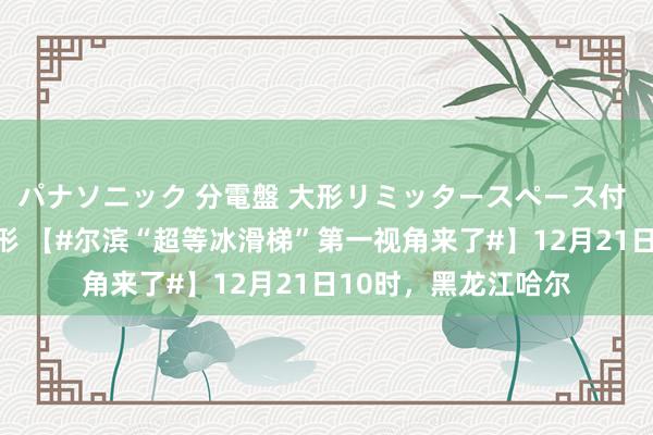 パナソニック 分電盤 大形リミッタースペース付 露出・半埋込両用形 【#尔滨“超等冰滑梯”第一视角来了#】12月21日10时，黑龙江哈尔