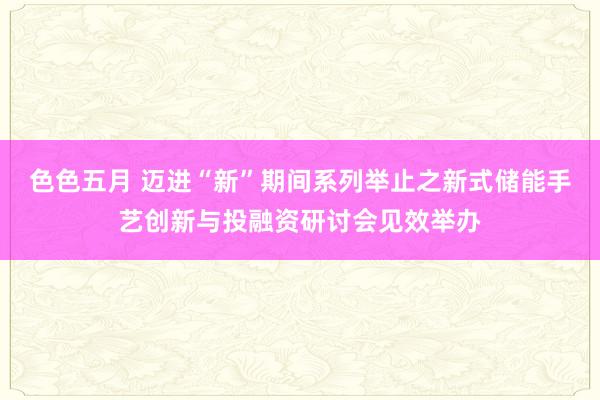 色色五月 迈进“新”期间系列举止之新式储能手艺创新与投融资研讨会见效举办