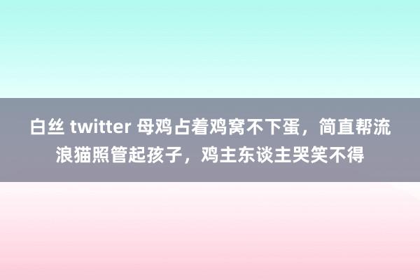 白丝 twitter 母鸡占着鸡窝不下蛋，简直帮流浪猫照管起孩子，鸡主东谈主哭笑不得