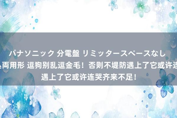 パナソニック 分電盤 リミッタースペースなし 露出・半埋込両用形 逗狗别乱逗金毛！否则不堤防遇上了它或许连哭齐来不足！