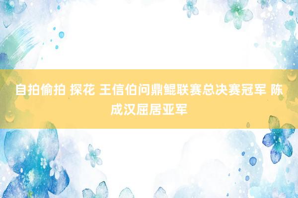 自拍偷拍 探花 王信伯问鼎鲲联赛总决赛冠军 陈成汉屈居亚军