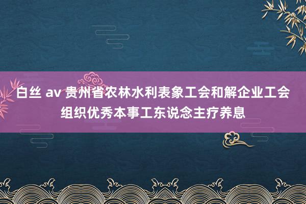 白丝 av 贵州省农林水利表象工会和解企业工会组织优秀本事工东说念主疗养息