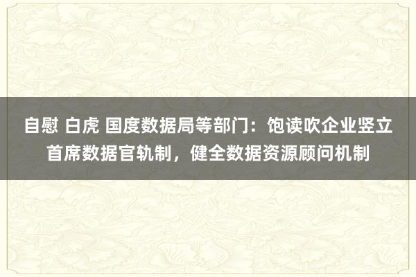 自慰 白虎 国度数据局等部门：饱读吹企业竖立首席数据官轨制，健全数据资源顾问机制