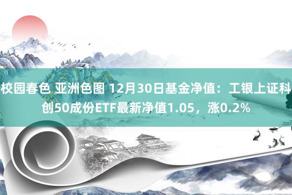 校园春色 亚洲色图 12月30日基金净值：工银上证科创50成份ETF最新净值1.05，涨0.2%