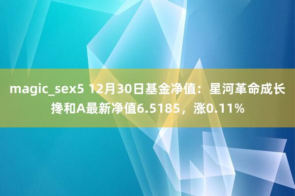 magic_sex5 12月30日基金净值：星河革命成长搀和A最新净值6.5185，涨0.11%