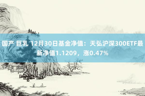 国产 巨乳 12月30日基金净值：天弘沪深300ETF最新净值1.1209，涨0.47%