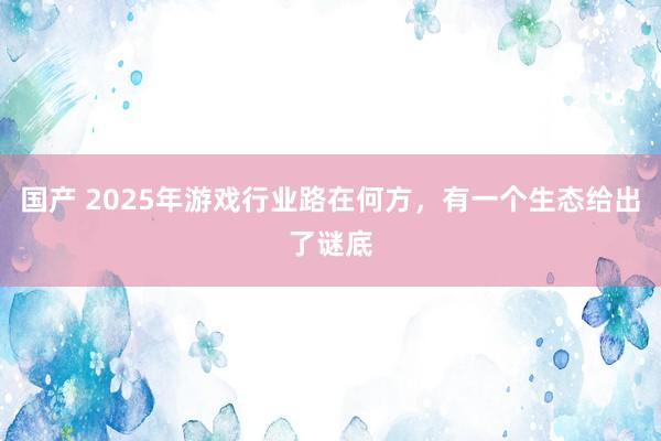 国产 2025年游戏行业路在何方，有一个生态给出了谜底