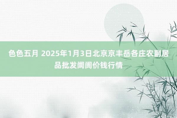 色色五月 2025年1月3日北京京丰岳各庄农副居品批发阛阓价钱行情