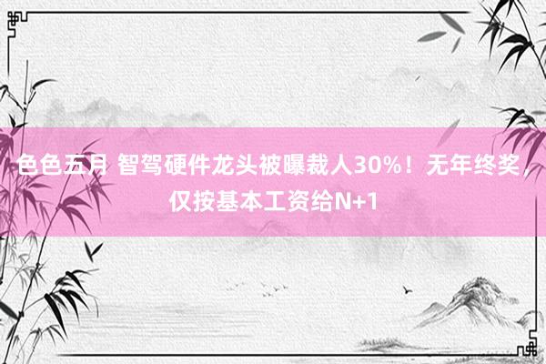 色色五月 智驾硬件龙头被曝裁人30%！无年终奖，仅按基本工资给N+1