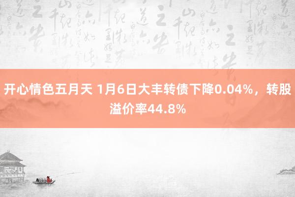 开心情色五月天 1月6日大丰转债下降0.04%，转股溢价率44.8%