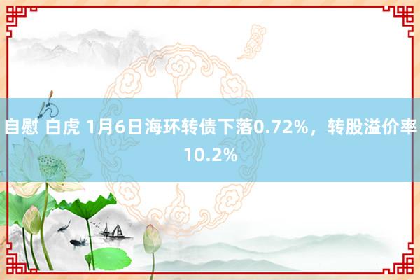 自慰 白虎 1月6日海环转债下落0.72%，转股溢价率10.2%