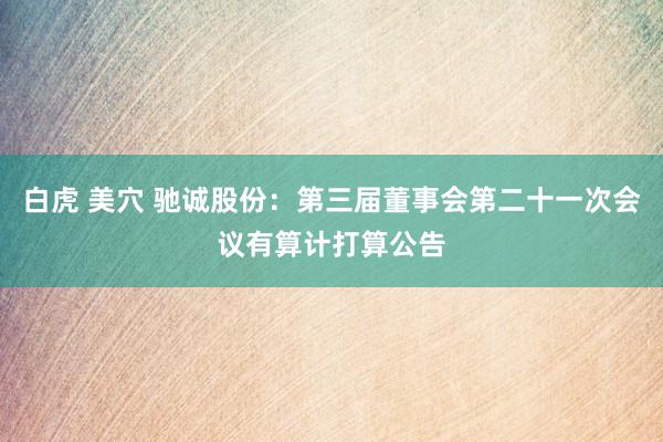 白虎 美穴 驰诚股份：第三届董事会第二十一次会议有算计打算公告