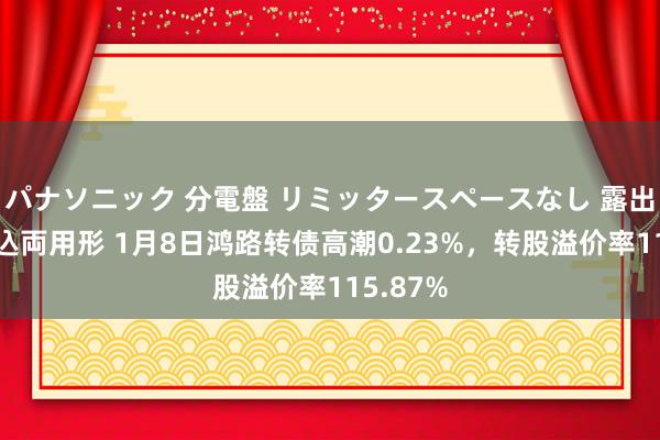 パナソニック 分電盤 リミッタースペースなし 露出・半埋込両用形 1月8日鸿路转债高潮0.23%，转股溢价率115.87%