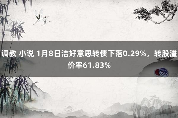 调教 小说 1月8日洁好意思转债下落0.29%，转股溢价率61.83%