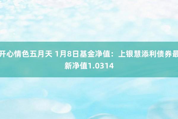 开心情色五月天 1月8日基金净值：上银慧添利债券最新净值1.0314