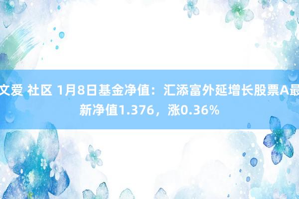 文爱 社区 1月8日基金净值：汇添富外延增长股票A最新净值1.376，涨0.36%