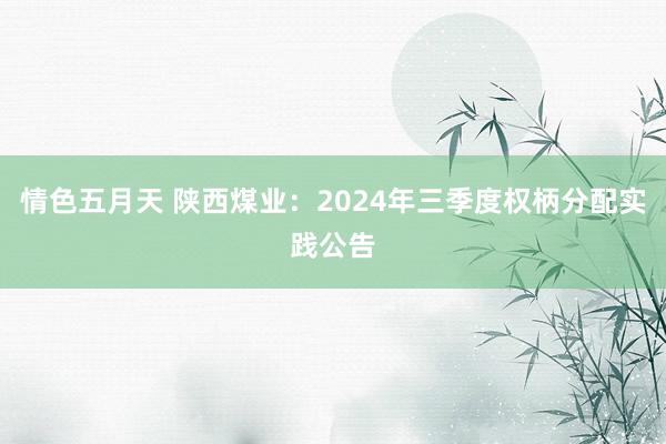 情色五月天 陕西煤业：2024年三季度权柄分配实践公告