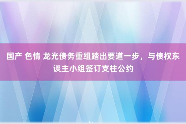 国产 色情 龙光债务重组踏出要道一步，与债权东谈主小组签订支柱公约