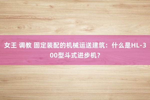 女王 调教 固定装配的机械运送建筑：什么是HL-300型斗式进步机？