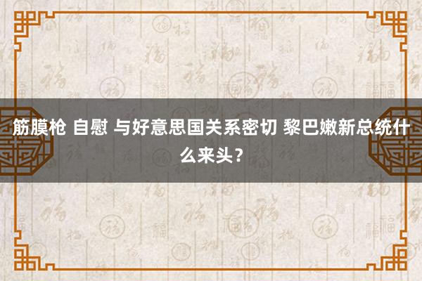 筋膜枪 自慰 与好意思国关系密切 黎巴嫩新总统什么来头？