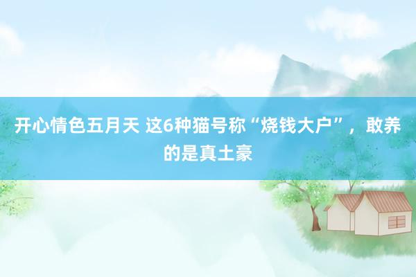 开心情色五月天 这6种猫号称“烧钱大户”，敢养的是真土豪