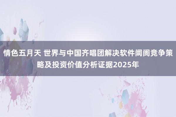 情色五月天 世界与中国齐唱团解决软件阛阓竞争策略及投资价值分析证据2025年