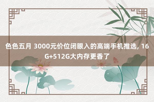 色色五月 3000元价位闭眼入的高端手机推选， 16G+512G大内存更香了