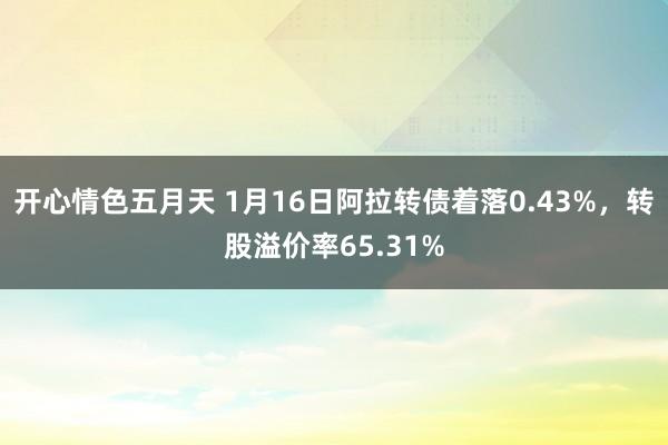 开心情色五月天 1月16日阿拉转债着落0.43%，转股溢价率65.31%