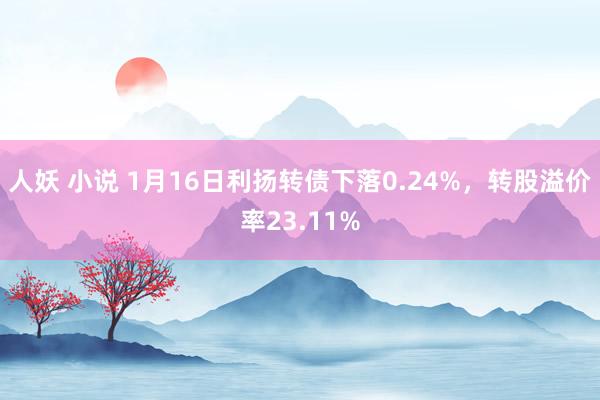 人妖 小说 1月16日利扬转债下落0.24%，转股溢价率23.11%