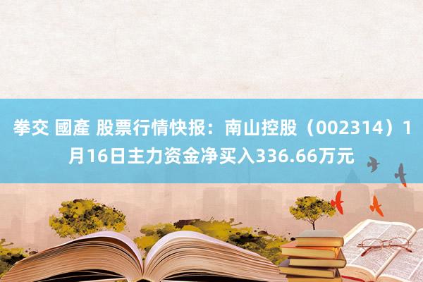 拳交 國產 股票行情快报：南山控股（002314）1月16日主力资金净买入336.66万元